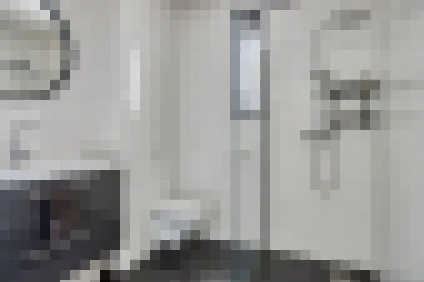 Sterappel 20 Fijnaart thumbnail 15