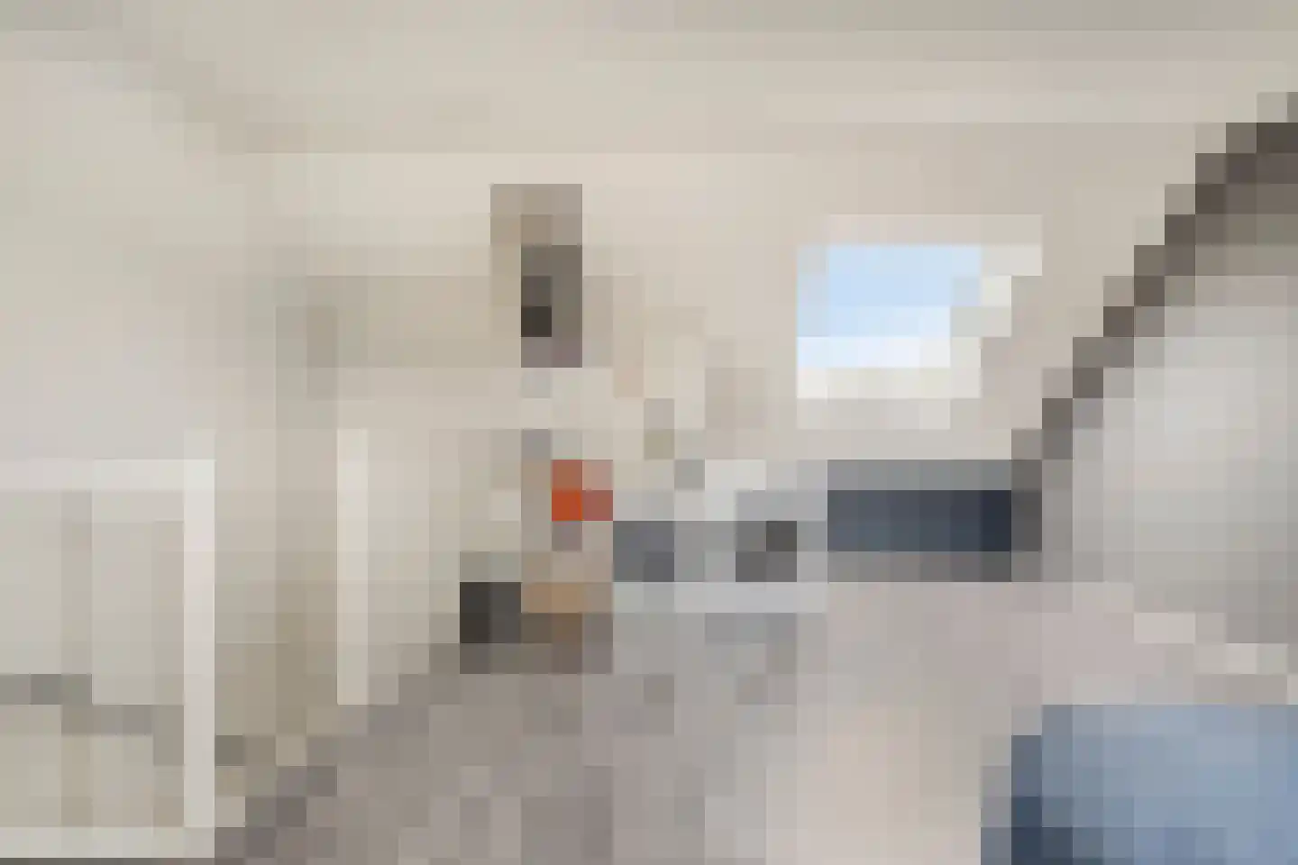 Sterappel 20 Fijnaart thumbnail 21
