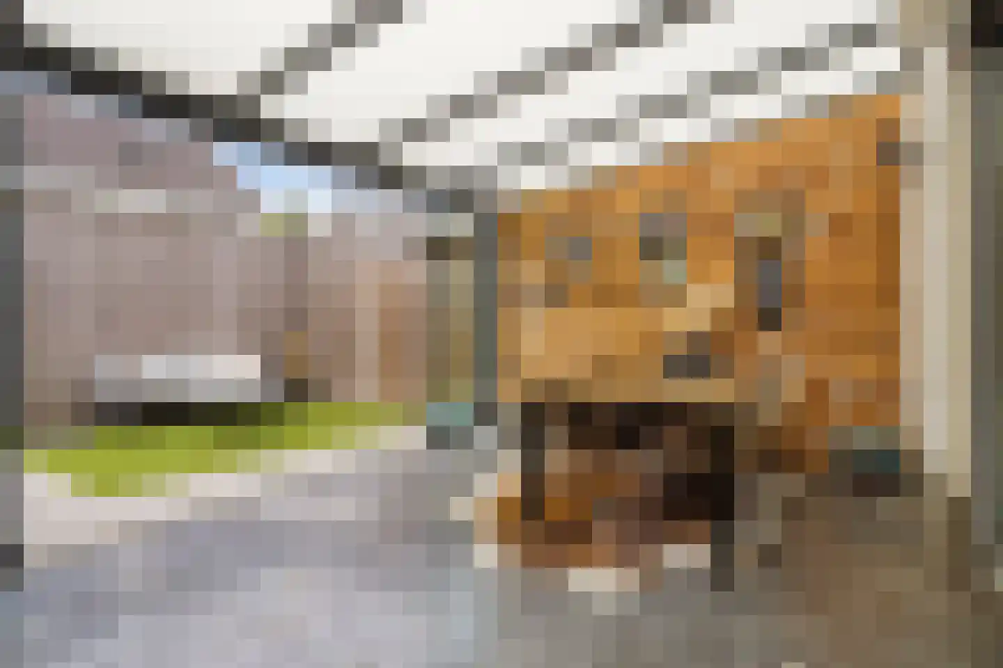 Sterappel 20 Fijnaart thumbnail 22