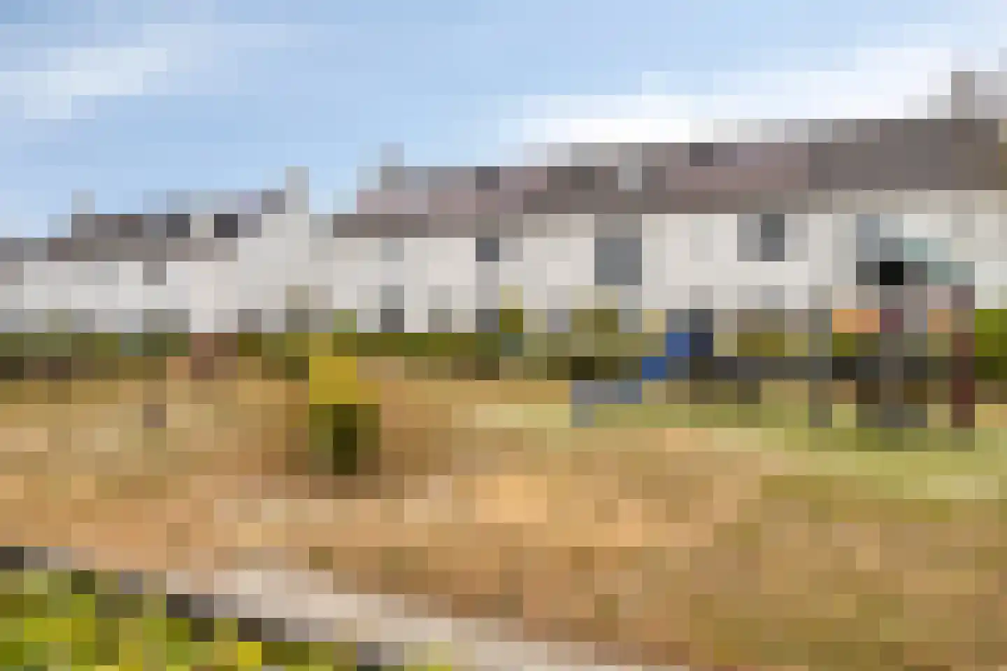Sterappel 20 Fijnaart thumbnail 26