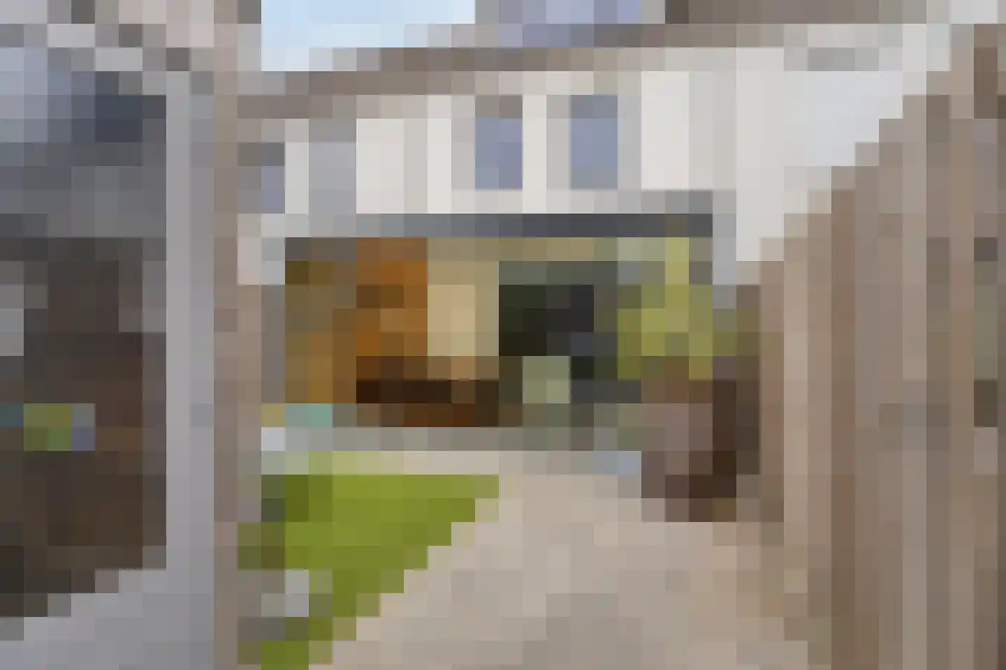 Sterappel 20 Fijnaart foto 3
