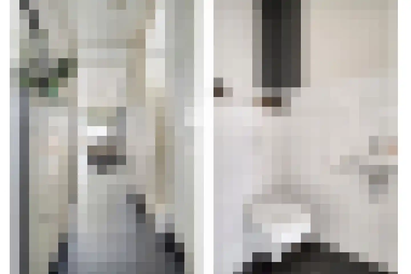 Sterappel 20 Fijnaart thumbnail 5