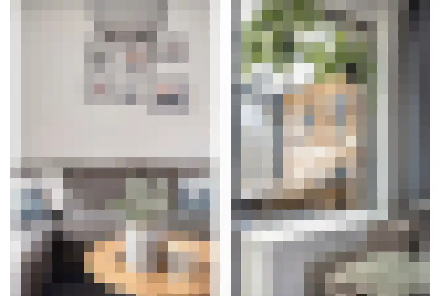 Sterappel 20 Fijnaart thumbnail 7