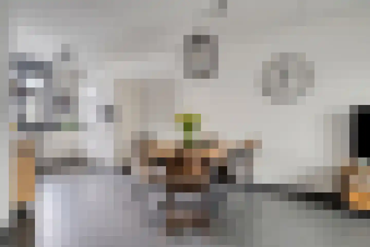 Sterappel 20 Fijnaart thumbnail 8