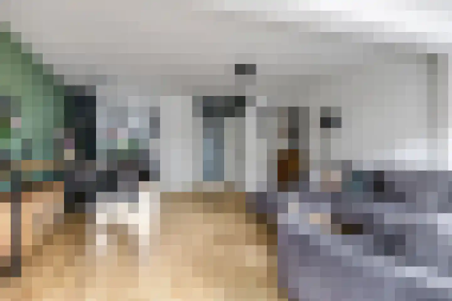 Sterappel 20 Zetten thumbnail 13