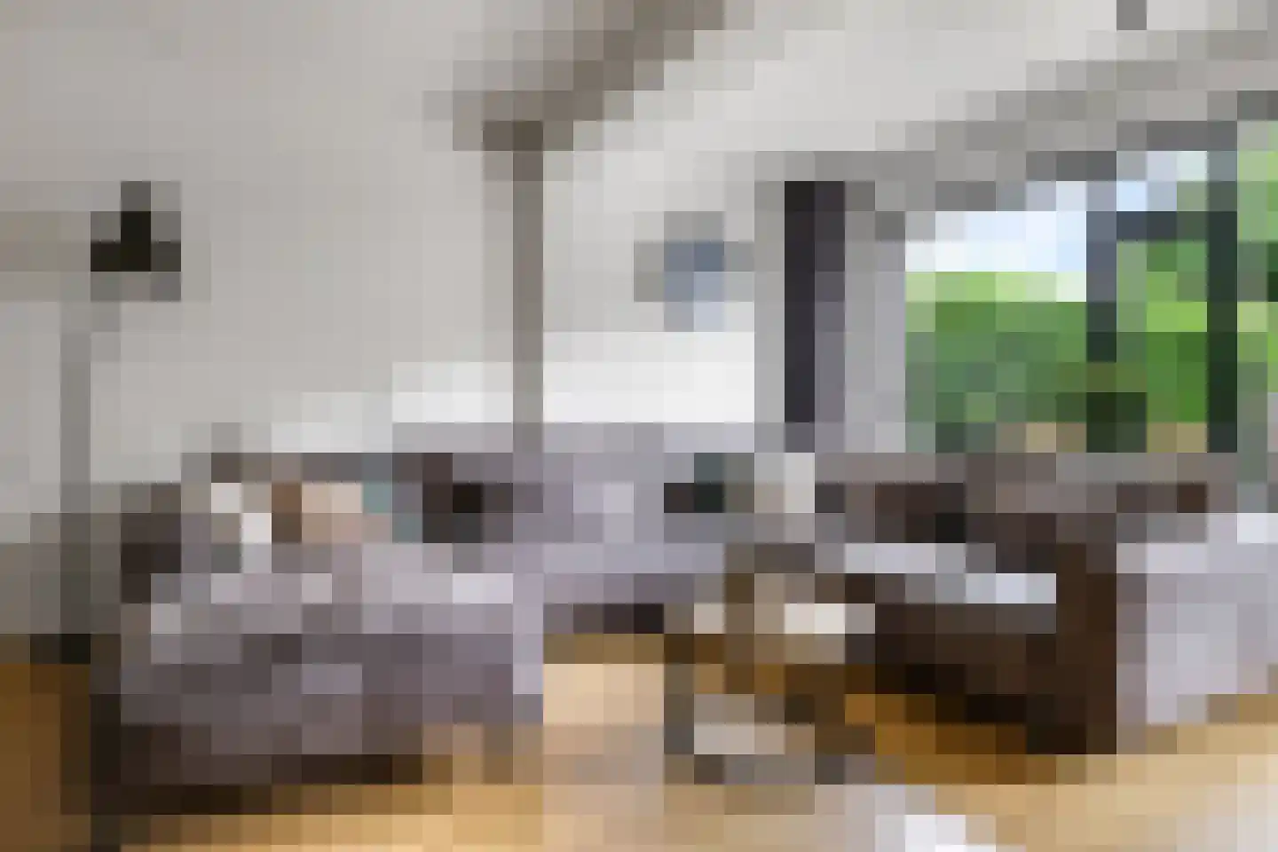 Sterappel 20 Zetten thumbnail 16