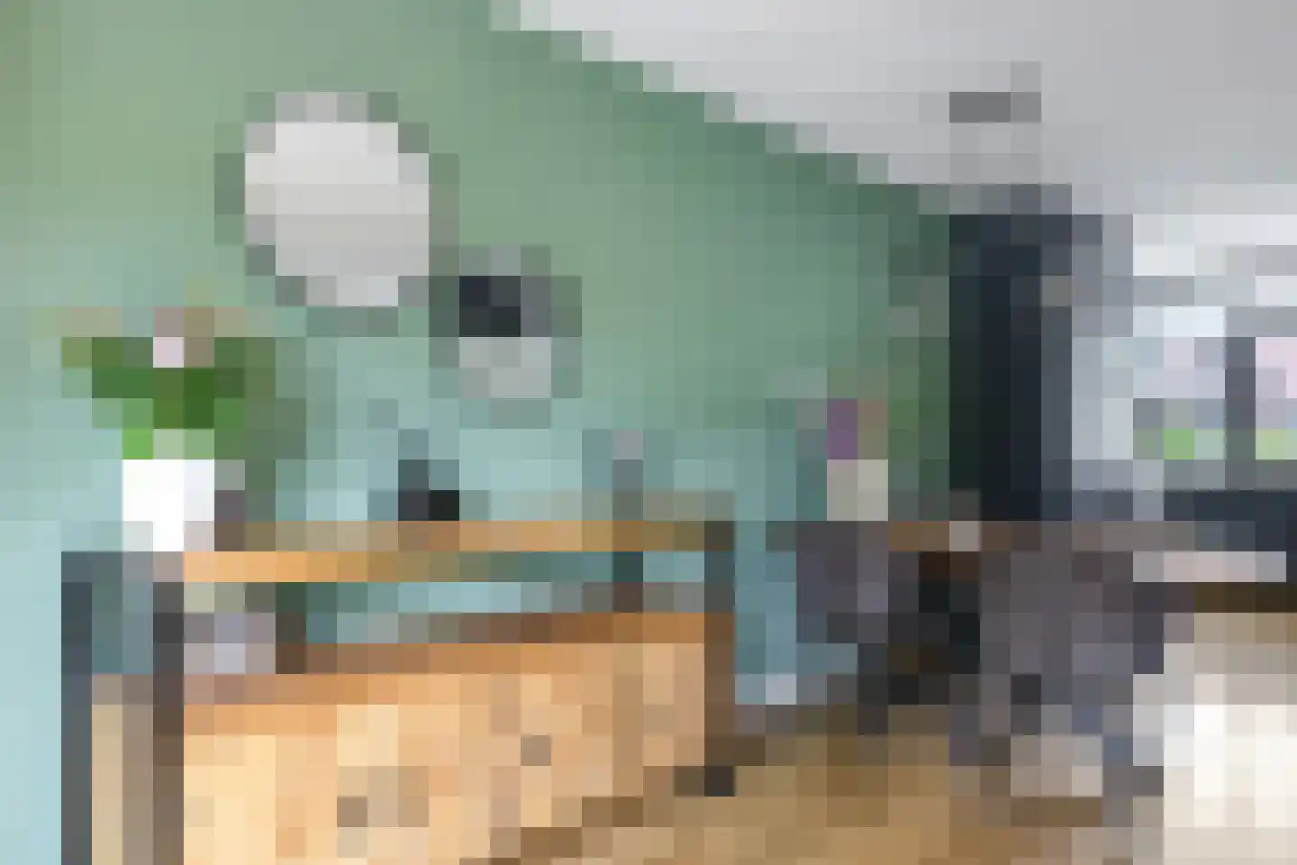 Sterappel 20 Zetten thumbnail 18