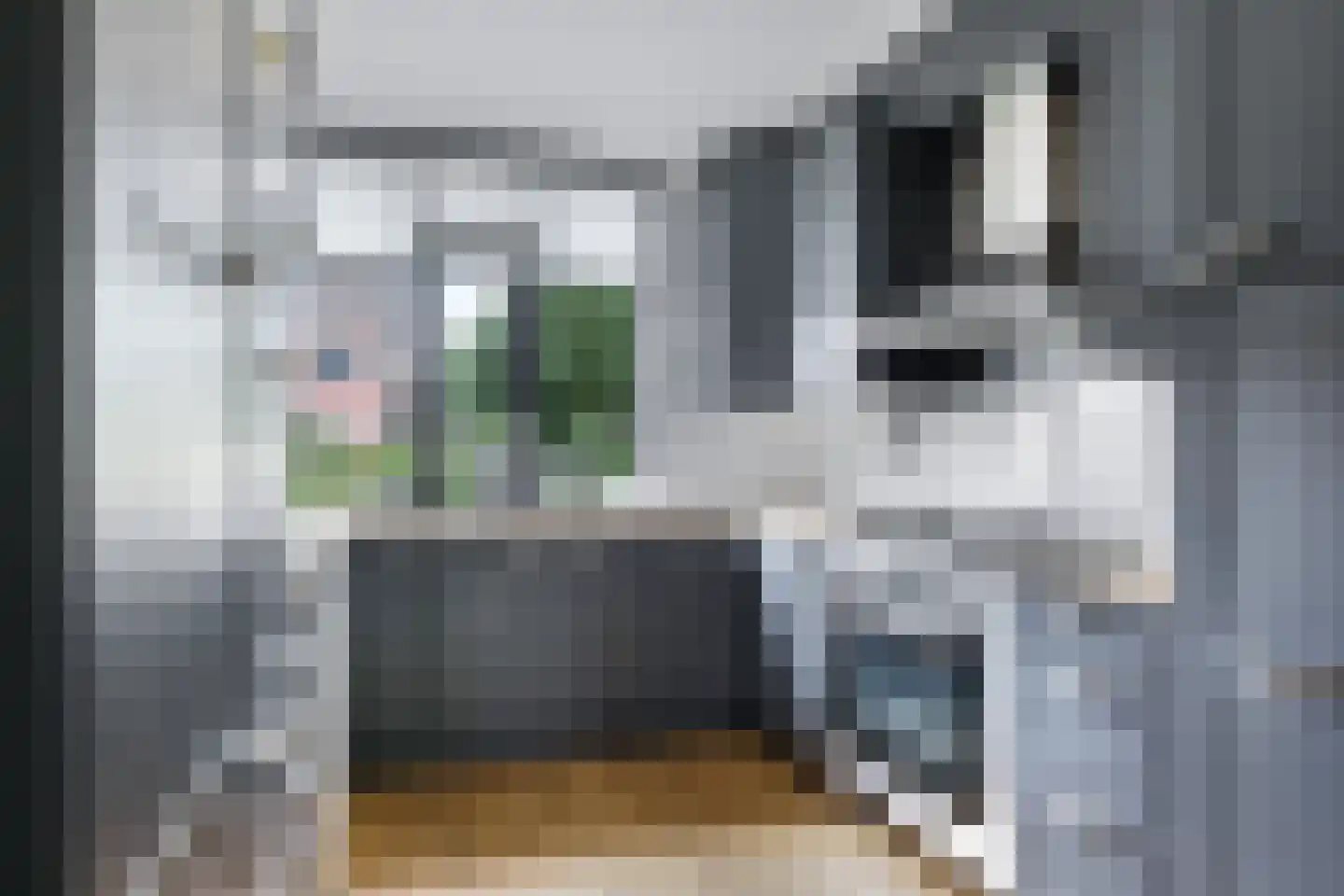 Sterappel 20 Zetten thumbnail 22