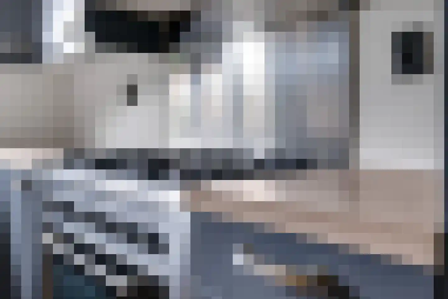 Sterappel 20 Zetten thumbnail 24