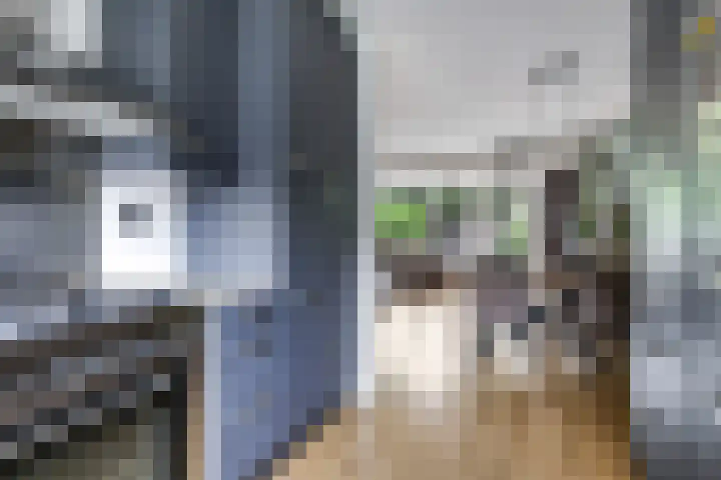 Sterappel 20 Zetten thumbnail 25