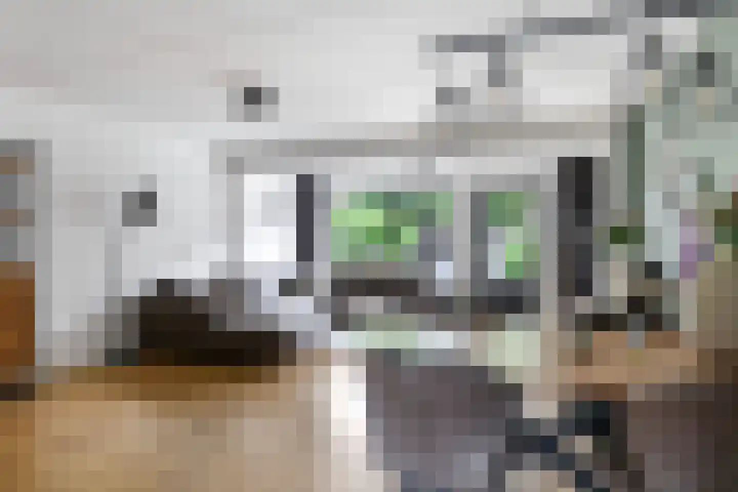 Sterappel 20 Zetten thumbnail 26
