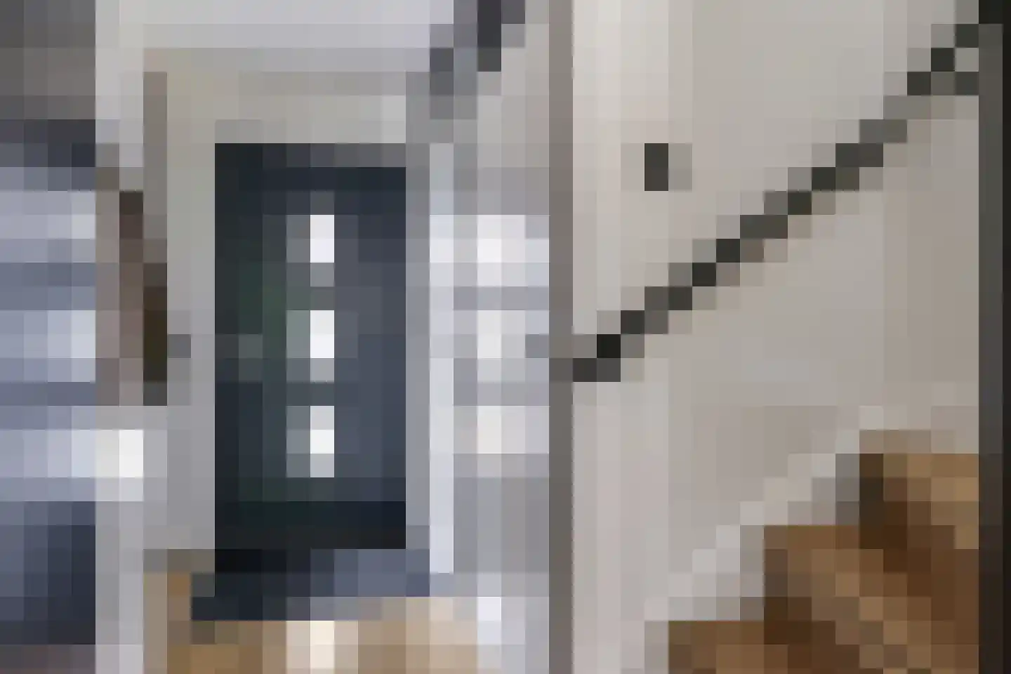 Sterappel 20 Zetten thumbnail 28