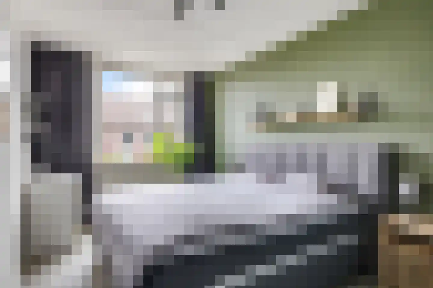 Sterappel 20 Zetten thumbnail 31
