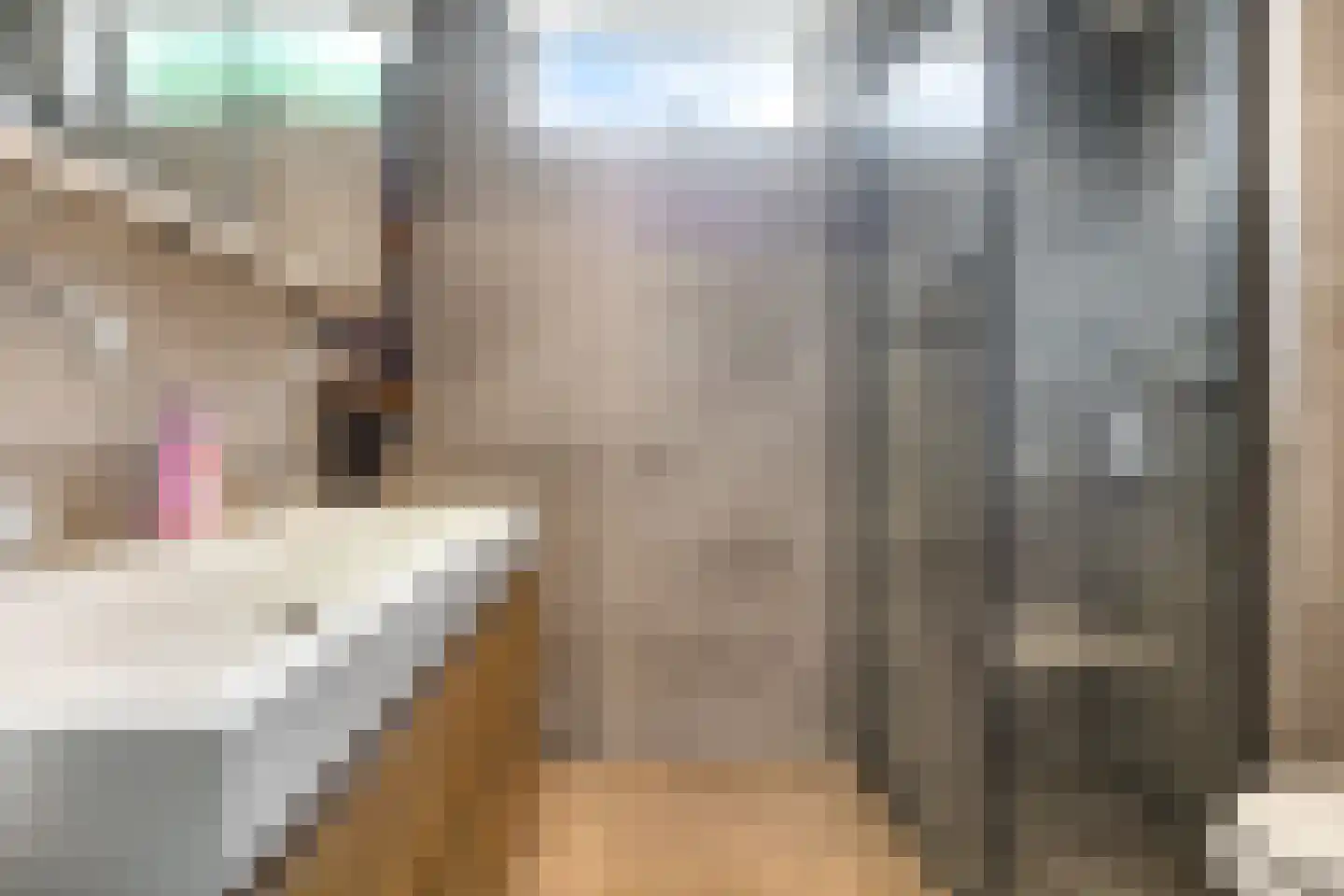 Sterappel 20 Zetten thumbnail 33