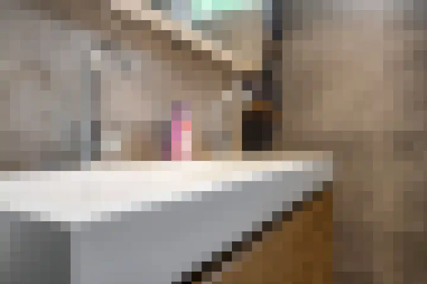 Sterappel 20 Zetten thumbnail 35