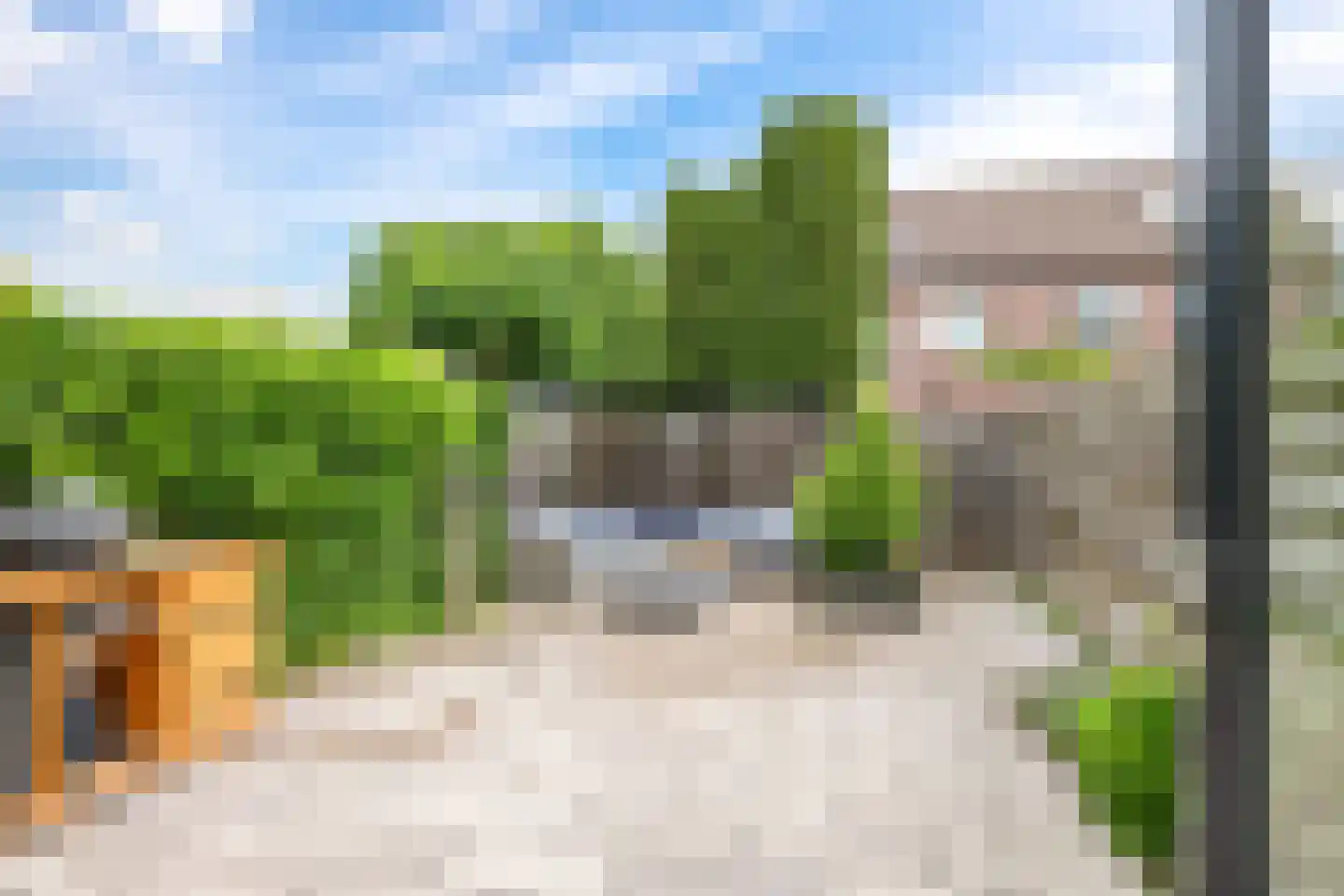 Sterappel 20 Zetten thumbnail 4