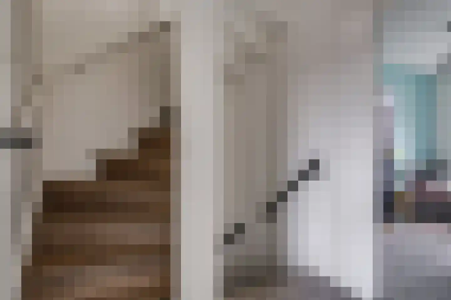 Sterappel 20 Zetten thumbnail 40