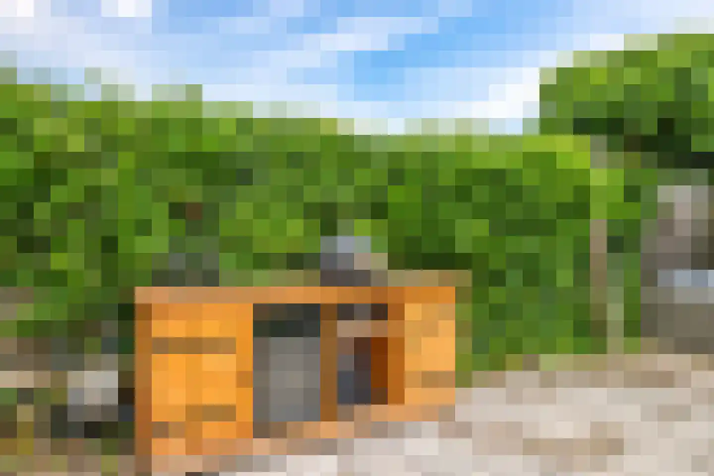 Sterappel 20 Zetten thumbnail 52