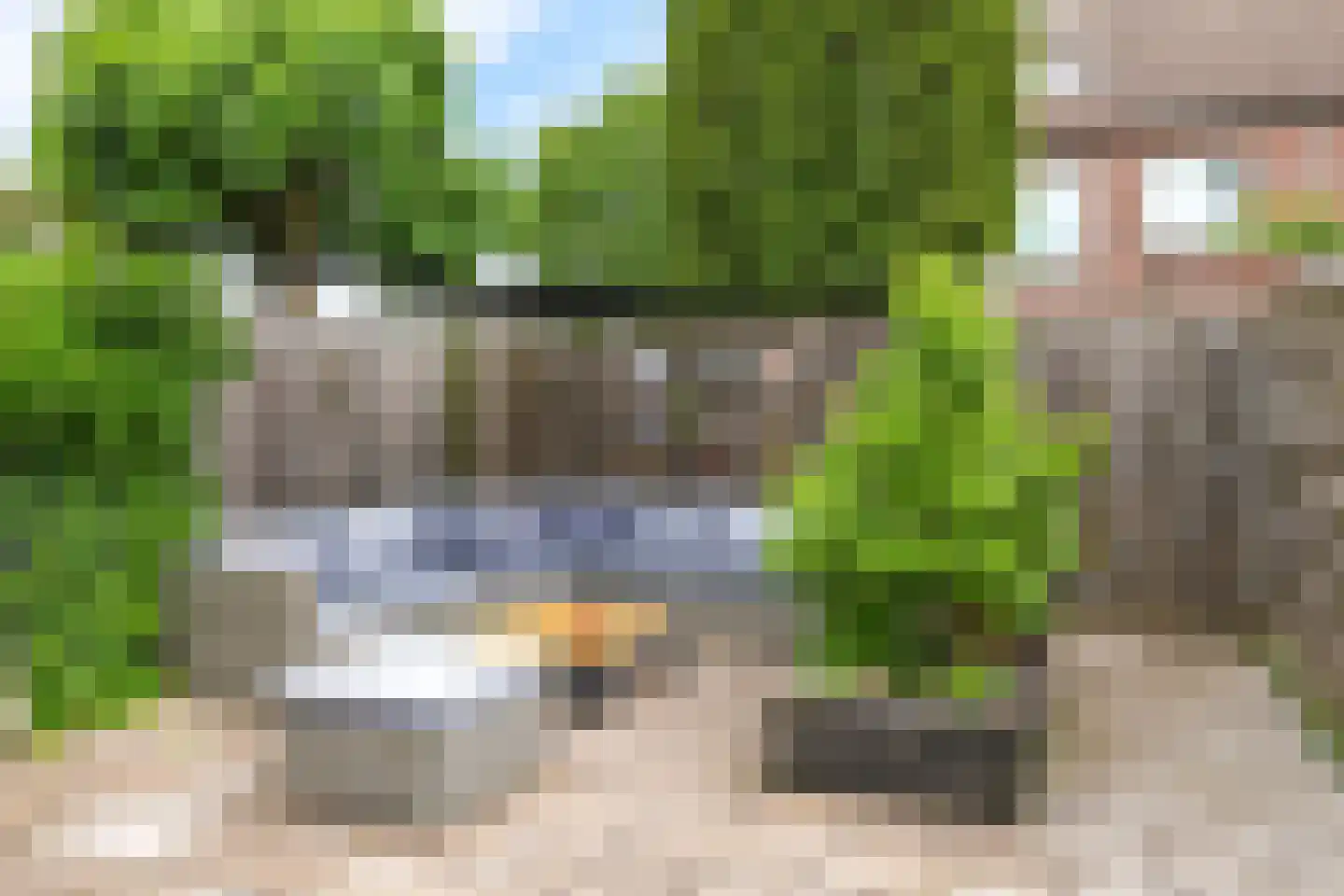 Sterappel 20 Zetten thumbnail 54