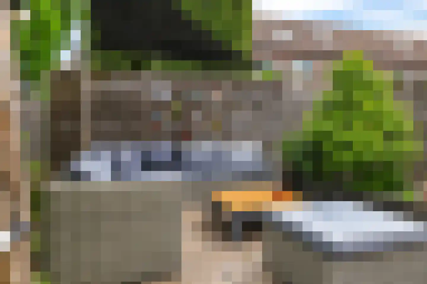Sterappel 20 Zetten thumbnail 55