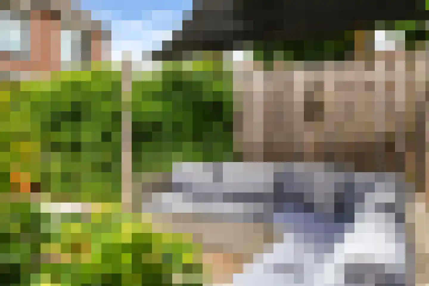 Sterappel 20 Zetten thumbnail 56