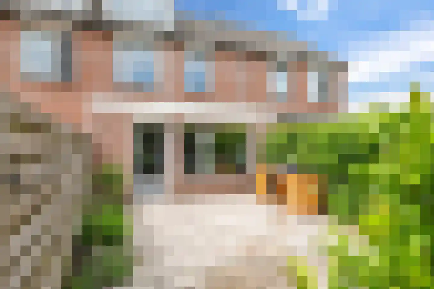 Sterappel 20 Zetten thumbnail 58