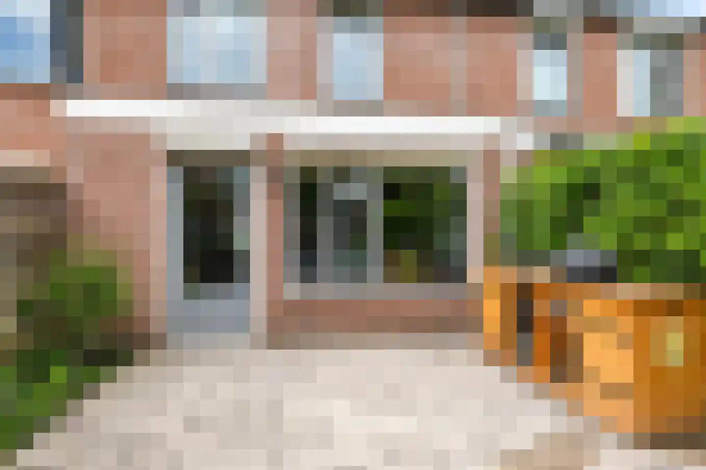 Sterappel 20 Zetten thumbnail 60