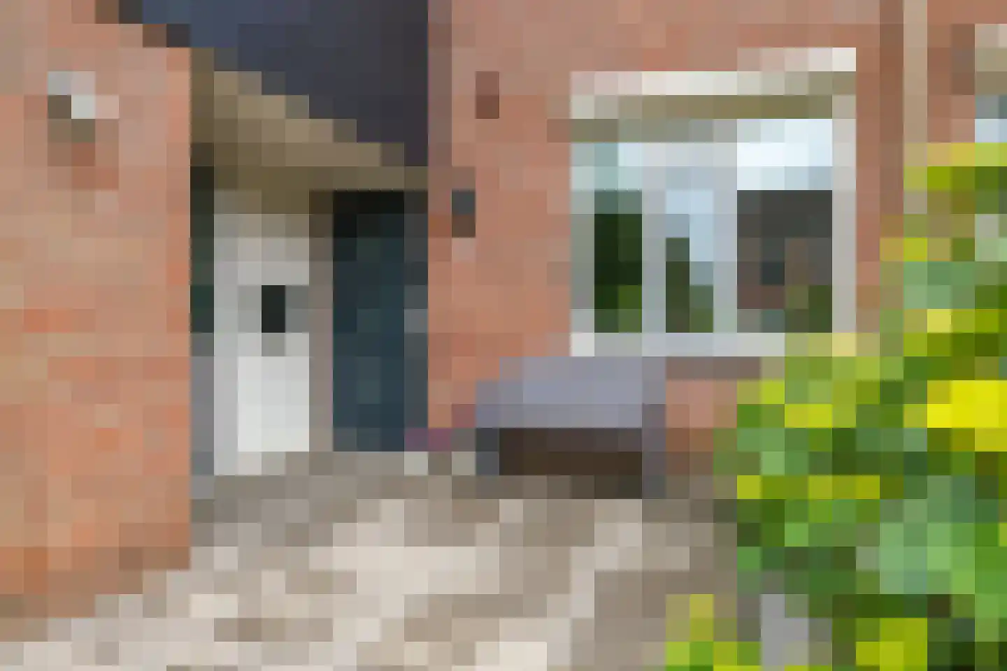Sterappel 20 Zetten thumbnail 61
