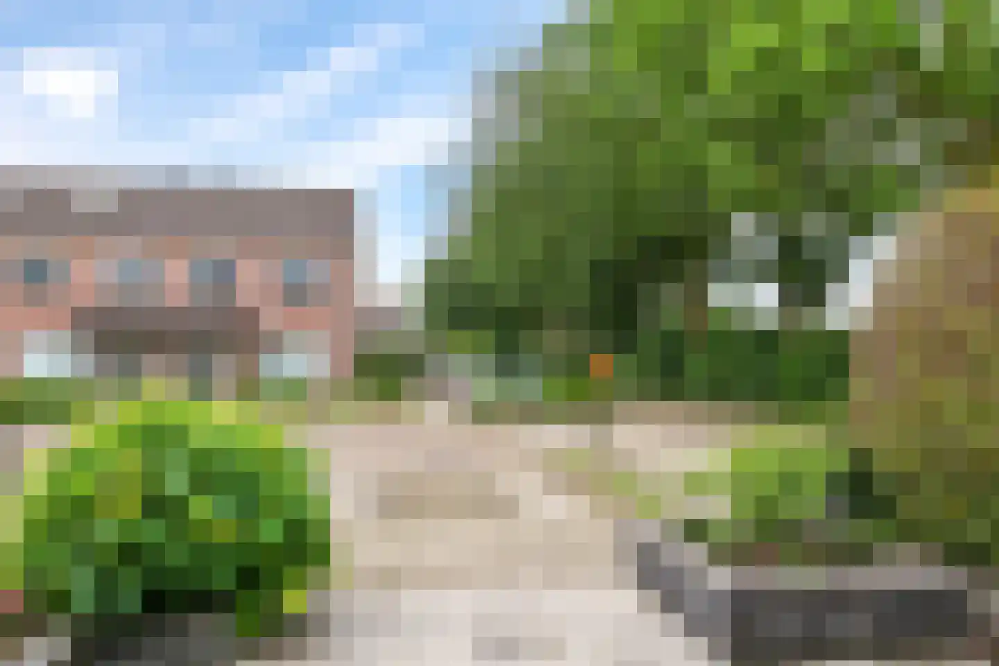 Sterappel 20 Zetten thumbnail 63