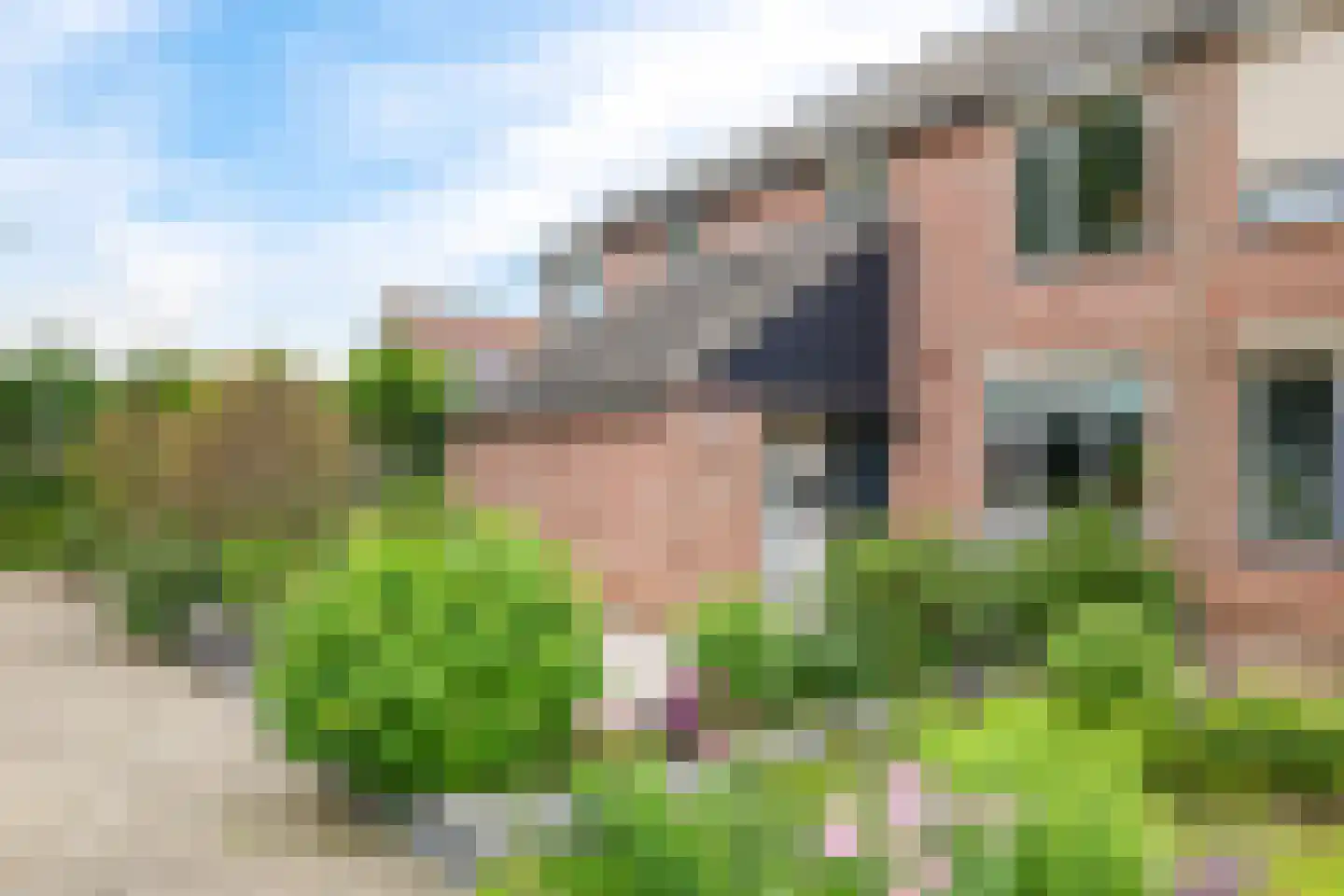 Sterappel 20 Zetten thumbnail 65