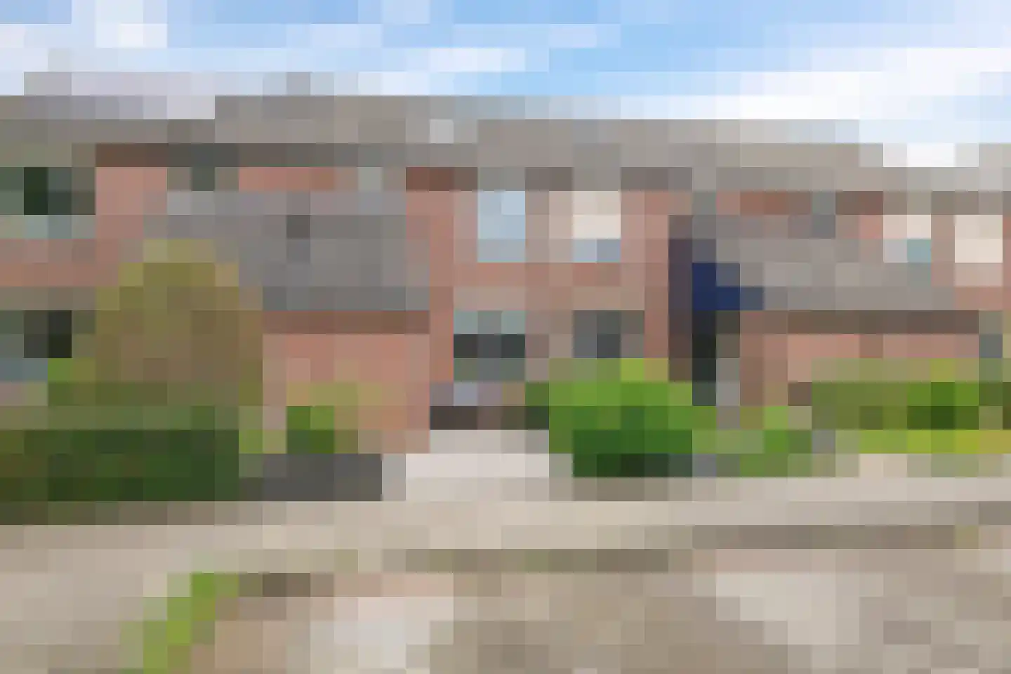 Sterappel 20 Zetten thumbnail 66