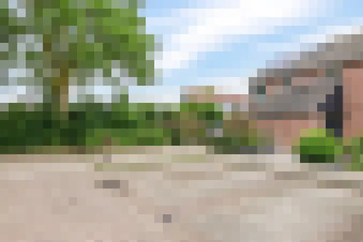 Sterappel 20 Zetten thumbnail 68