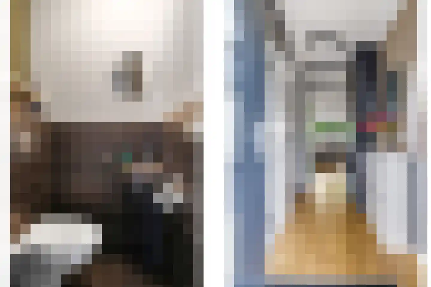 Sterappel 20 Zetten thumbnail 9