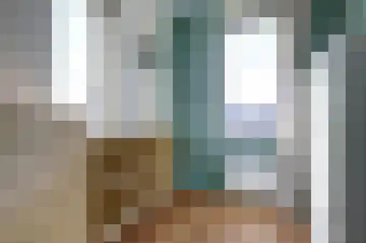 Sterappel 22 Andijk thumbnail 16