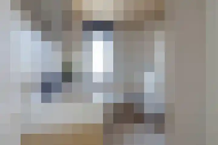 Sterappel 22 Andijk thumbnail 17