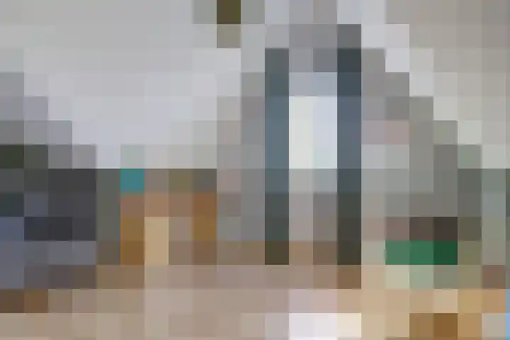 Sterappel 22 Andijk thumbnail 21