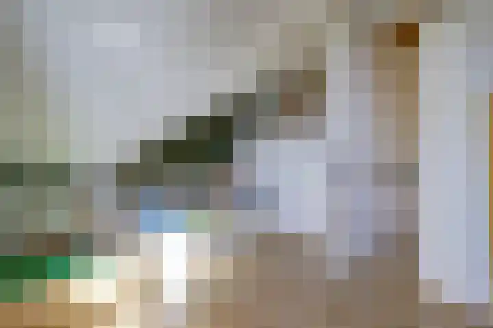 Sterappel 22 Andijk thumbnail 22