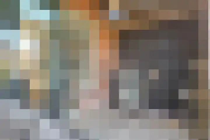 Sterappel 22 Andijk thumbnail 26