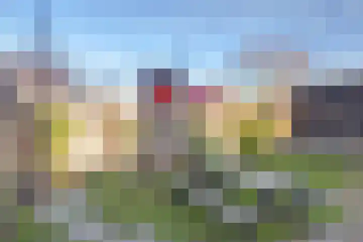 Sterappel 22 Andijk thumbnail 28