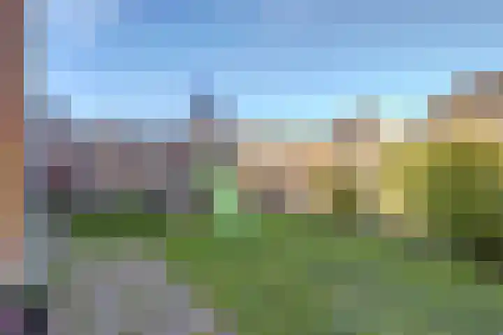 Sterappel 22 Andijk thumbnail 29