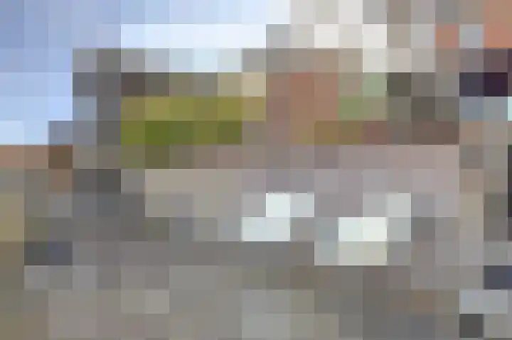 Sterappel 22 Andijk thumbnail 30
