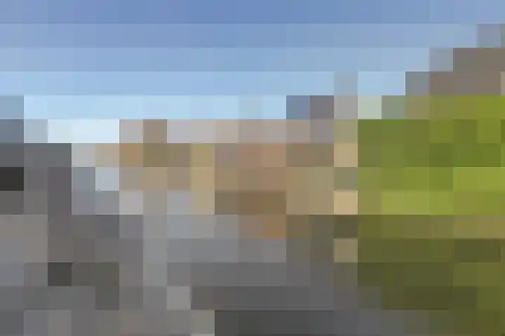 Sterappel 22 Andijk thumbnail 32