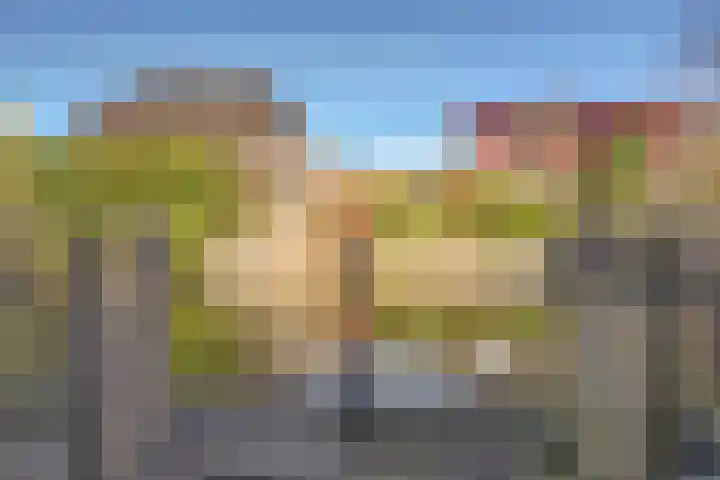 Sterappel 22 Andijk thumbnail 33