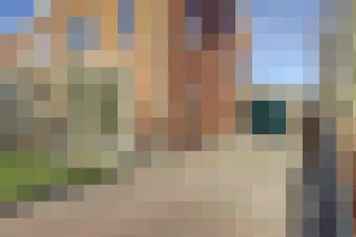 Sterappel 22 Andijk thumbnail 34