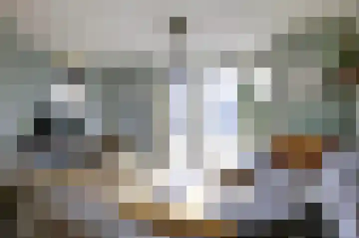 Sterappel 22 Andijk thumbnail 4