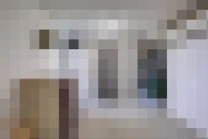 Sterappel 22 Andijk thumbnail 7