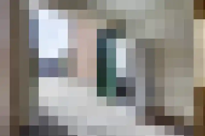 Sterappel 22 Andijk thumbnail 8
