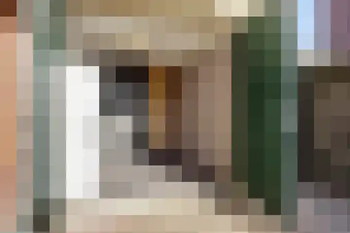 Sterappel 22 Andijk thumbnail 9