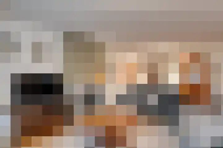 Sterappel 23 Heino thumbnail 16