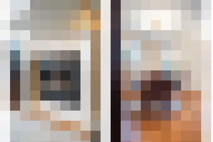Sterappel 23 Heino thumbnail 17